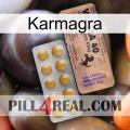 Karmagra 41